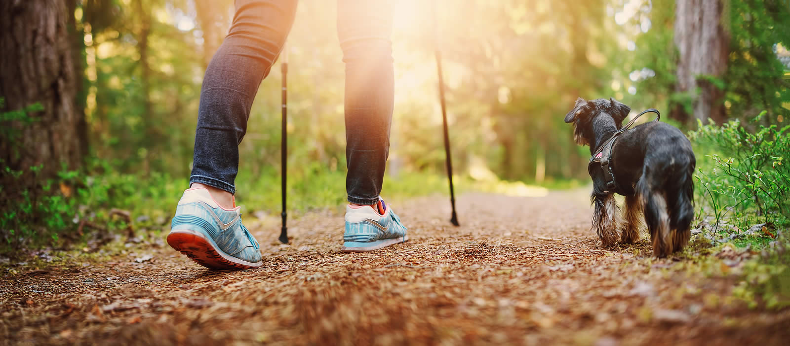 Why Your Feet Hurt When You Wake Up in the Morning